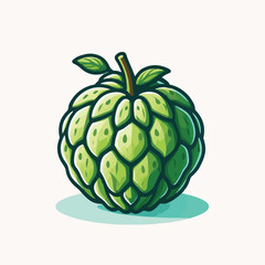 cherimoya, green, fruit, fresh, food, ripe, exotic, sweet, tropical, organic, custard, background, healthy, raw, annona, white, custard apple, delicious, tasty, isolated, dessert, seed, half, chirimoy