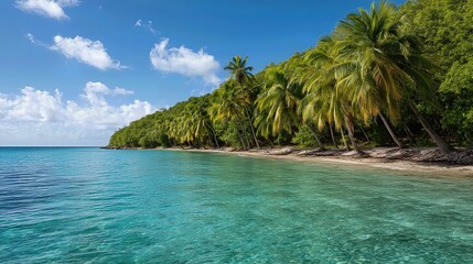 A tropical paradise unfolds with turquoise waters, white sandy beaches, and swaying palm trees.