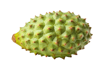 Single, whole, light green tropical fruit with a spiky texture is presented in high resolution.