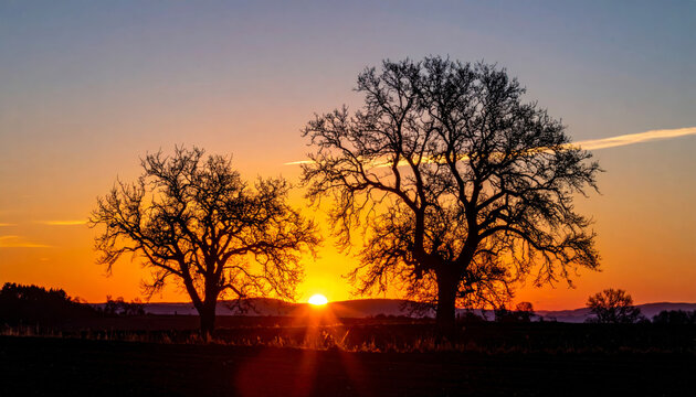 stunning sunset silhouette of two bare trees against vibrant orange and purple sky, creating serene and peaceful atmosphere. beauty of nature is captured in this tranquil scene