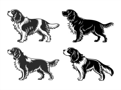 cavalier king charles spaniel sihouette black vector bundle