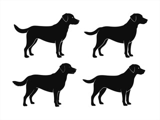 labrador retriever sihouette black vector bundle