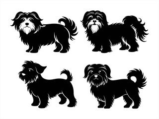 maltese sihouette black vector bundle