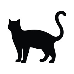 Black cat silhouette standing gracefully with vector curved tail on a white background
