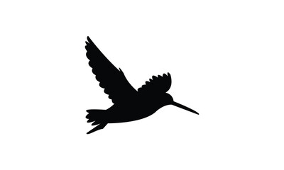 Flying African snipe bird Silhouette Design  And Vector Illustration. 