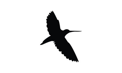 Flying African snipe bird Silhouette Design  And Vector Illustration. 