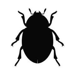 Silhouette of a beetle against a vector white background showing its unique form