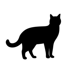 Elegant Black Cat Silhouette Standing vector Gracefully on a White Background Image
