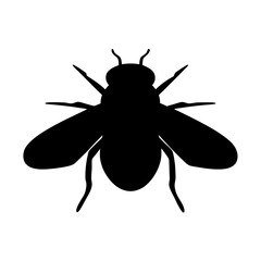 Silhouette of a fly, detailed vector illustration, against a white background