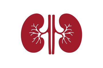 human kidney icon silhouette vector illustration, Red human kidney clipart