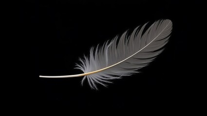 Obraz premium Elegant Single White Feather Isolated on a Deep Black Background, Emphasizing Lightness, Purity, and Delicate Texture for Minimalist Designs and Conceptual Imagery Related to Dreams and Spirituality