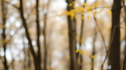 sharp focus and shallow depth of field