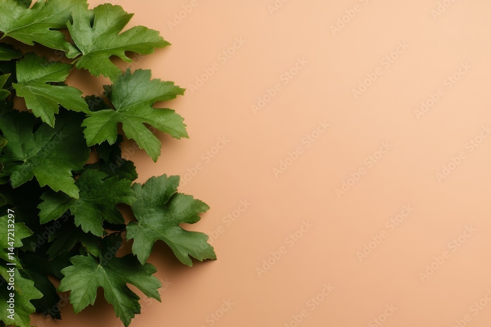 Poster single climbing vine features rich green leaves placed on a pastel-colored backdrop, providing clean
