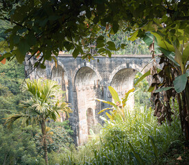 Stunning viaduct bridge nestled within a lush, green landscape. The intricate stonework of the bridge contrasts beautifully with the surrounding foliage.
