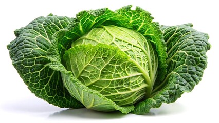 Obraz premium Cabbage isolated on white background