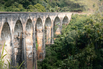 Stunning viaduct bridge nestled within a lush, green landscape. The intricate stonework of the bridge contrasts beautifully with the surrounding foliage.