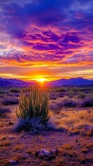 Desert Landscape at Sunset with Colorful Sky and Cactus