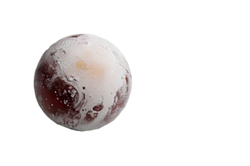 A single plum, a shiny sphere like a small planet.