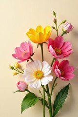 Obraz premium Cream background, vibrant spring bouquet, artistically arranged , photography, roses, tulips
