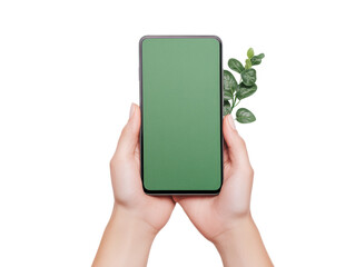 Hands holding a smartphone with a green screen and plant