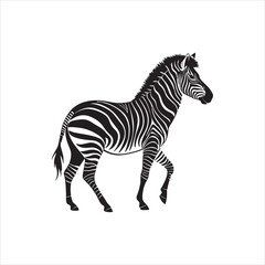 Zebra Silhouette Illustration, Black and White Wild Animal Design