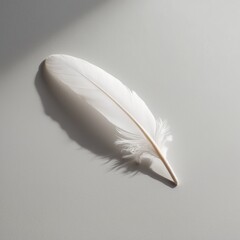 Soft ease feather, for easiness in life or body balance