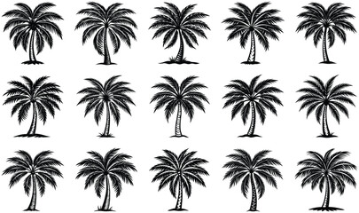 Fototapeta premium set of palm trees