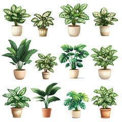Fototapeta premium A collection of vibrant indoor plants in decorative pots, perfect for enhancing home decor and indoor gardening.