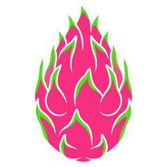 Fototapeta premium vector illustration of dragon fruit