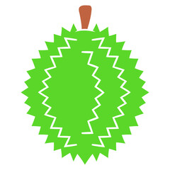 durian fruit vector illustration