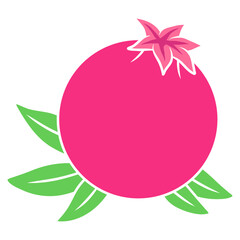 pomegranate fruit cartoon illustration