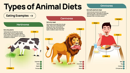 Types of Animal Diets – Herbivores, Carnivores, and Omnivores Educational Infographic for Kids and Classrooms