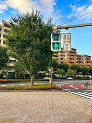 歩行者用信号がある風景、昼間、マンション