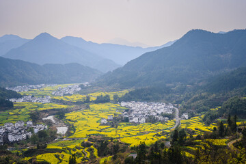 Stunning Mountain Valley with Yellow Mustard Fields