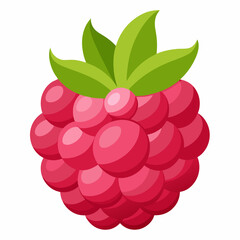 Ripe raspberry illustration with vibrant colors on white background  