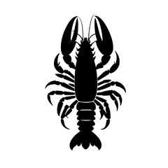 crayfish vector illustration