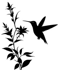 vector illustration of a hamming Bird 