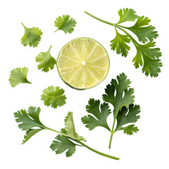 Fresh Lime and Cilantro Vibrant Food Photography isolated on transparent background