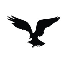 Eagle isolated design illustration with black silhouette color suitable to your brand, template, sticker, eagle design, animals, bird design, mascot, business, and more