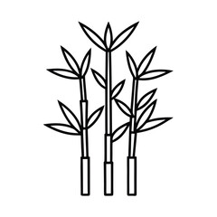 Naklejka premium bamboo vector illustration