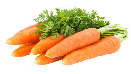 Fresh carrots with green tops are stacked on transparent background.