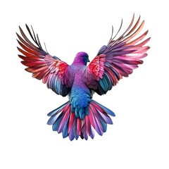Obraz premium Vibrant bird soaring with colorful wings against a white background on a bright day