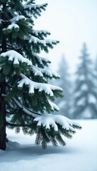 Fototapeta premium Isolated spruce branches against snowy landscape, snow, isolation, scenery