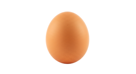 A single brown egg against a black background shot