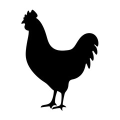 Silhouette of a chicken standing, a black and white depiction in profile