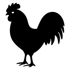 Silhouette of a Rooster Standing Tall Against a White Background Portrait