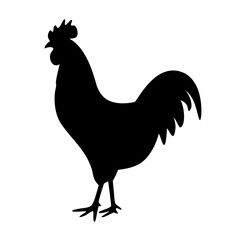 Black silhouette of a proud rooster standing on a white background