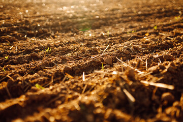 Close-up of freshly plowed land in the rays of sunset. Dark agricultural field outdoors. Farming concept.
