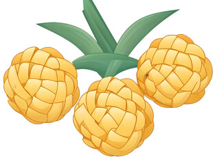 Fototapeta premium Three Woven Yellow Pineapples Illustration