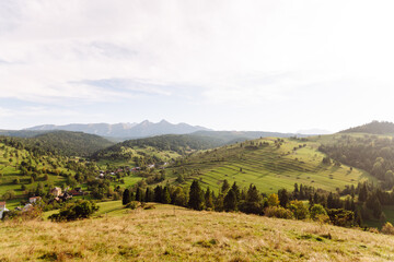 Inspiring landscape of green hills. Terraced fields stretch across the hills of lush greenery....